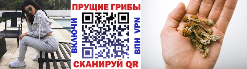 Купить закладки  Мосальск  Галлюциногенные грибы GOLDEN TEACHER 